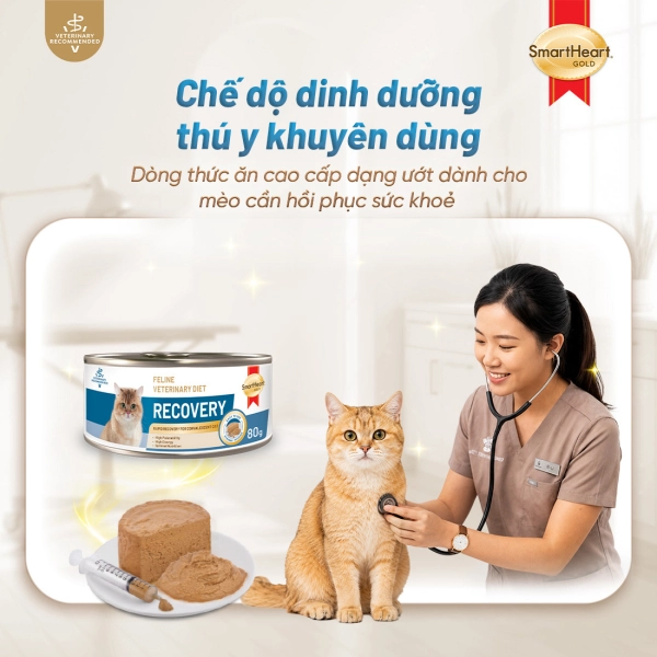 shg-vet-recovery-anh-1