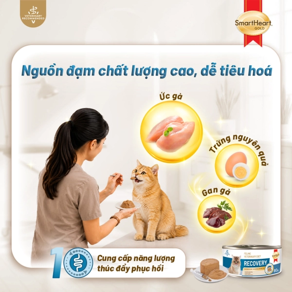 shg-vet-recovery-anh-2