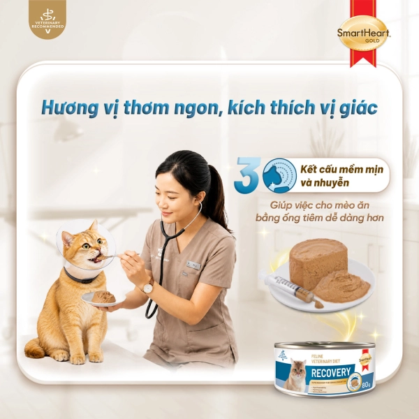 shg-vet-recovery-anh-4