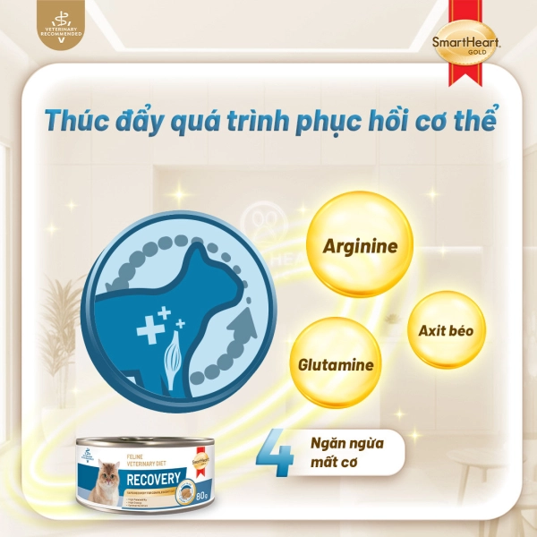 shg-vet-recovery-anh-5