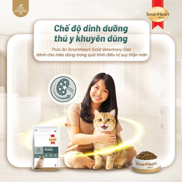 shg-vet-renal-anh-1