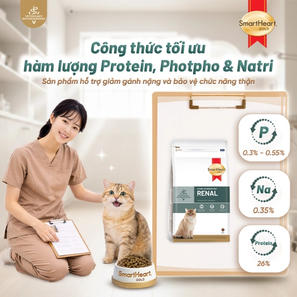shg-vet-renal-anh-2