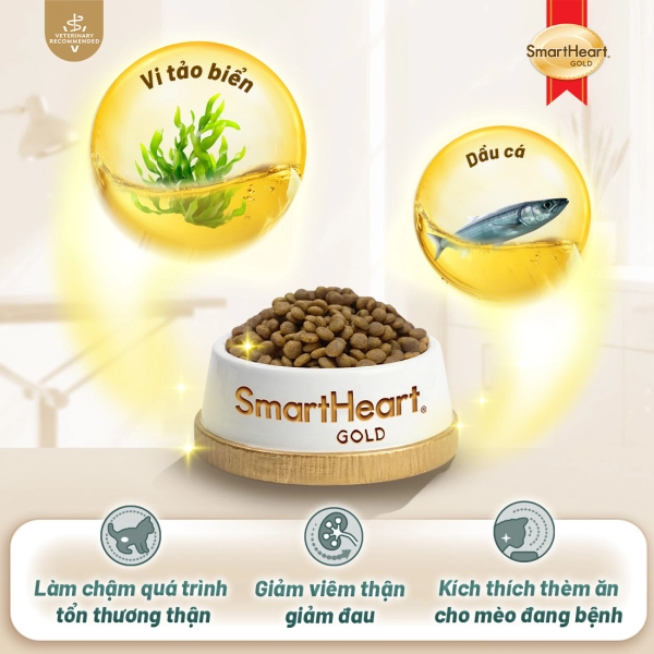 shg-vet-renal-anh-3
