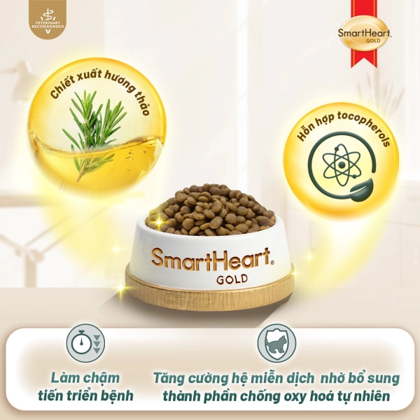 shg-vet-renal-anh-4