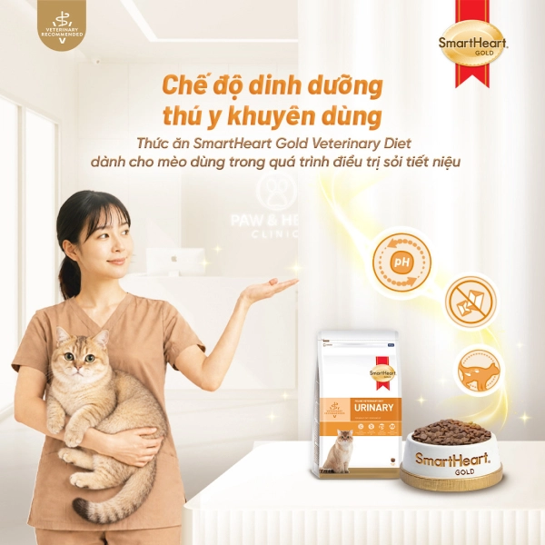 shg-vet-urinary-anh-1