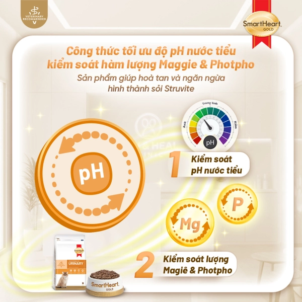 shg-vet-urinary-anh-2