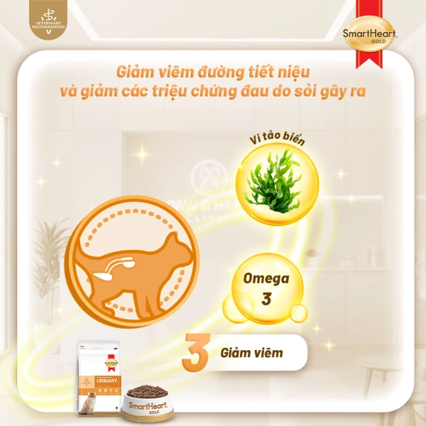 shg-vet-urinary-anh-3