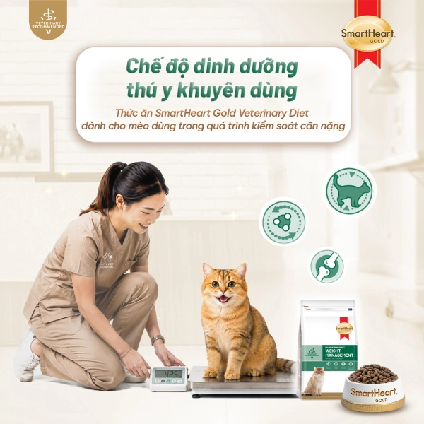 shg-vet-weight-anh-1
