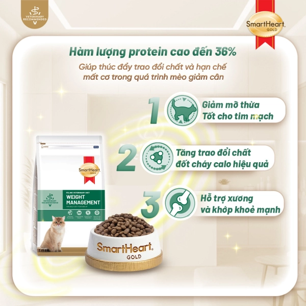 shg-vet-weight-anh-2
