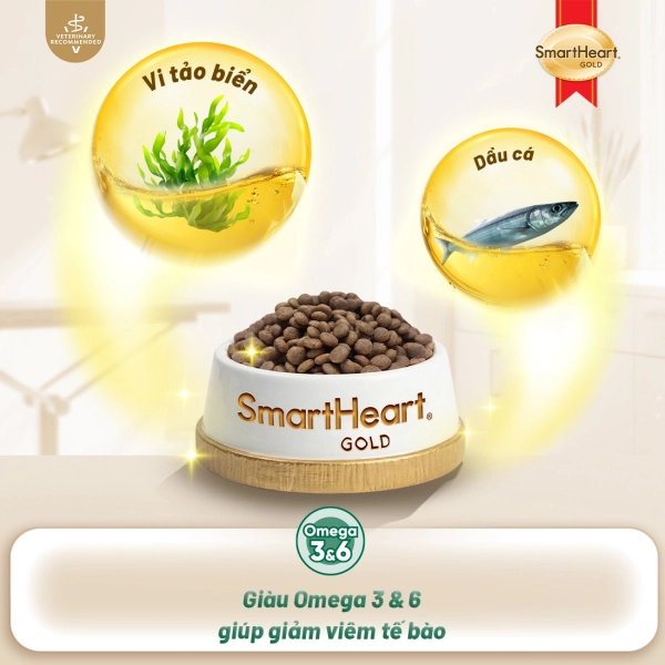 shg-vet-weight-anh-4