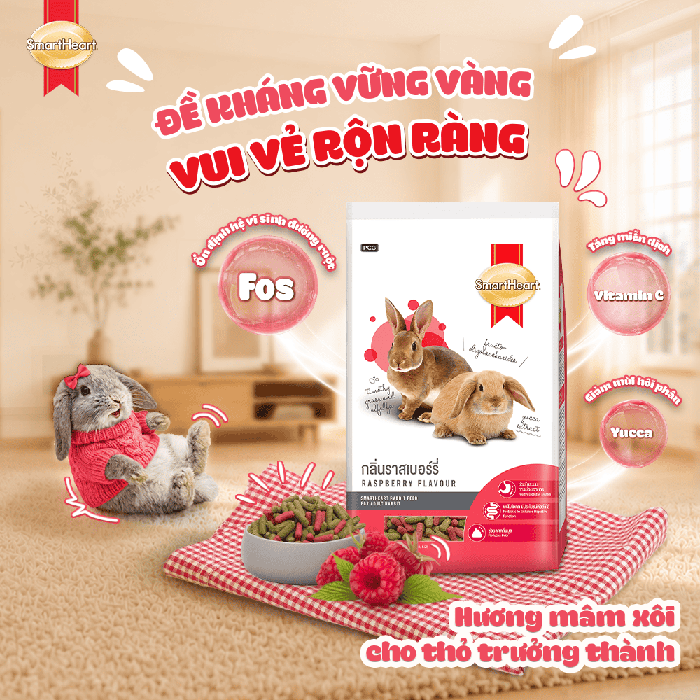 smart-heart-raspberry
