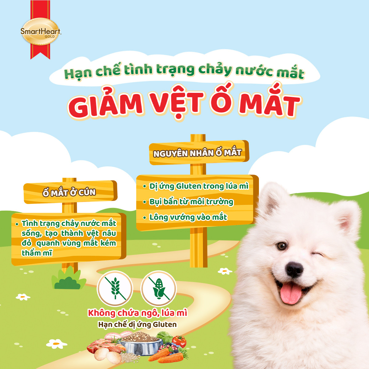 usp-giam-o-mat-1