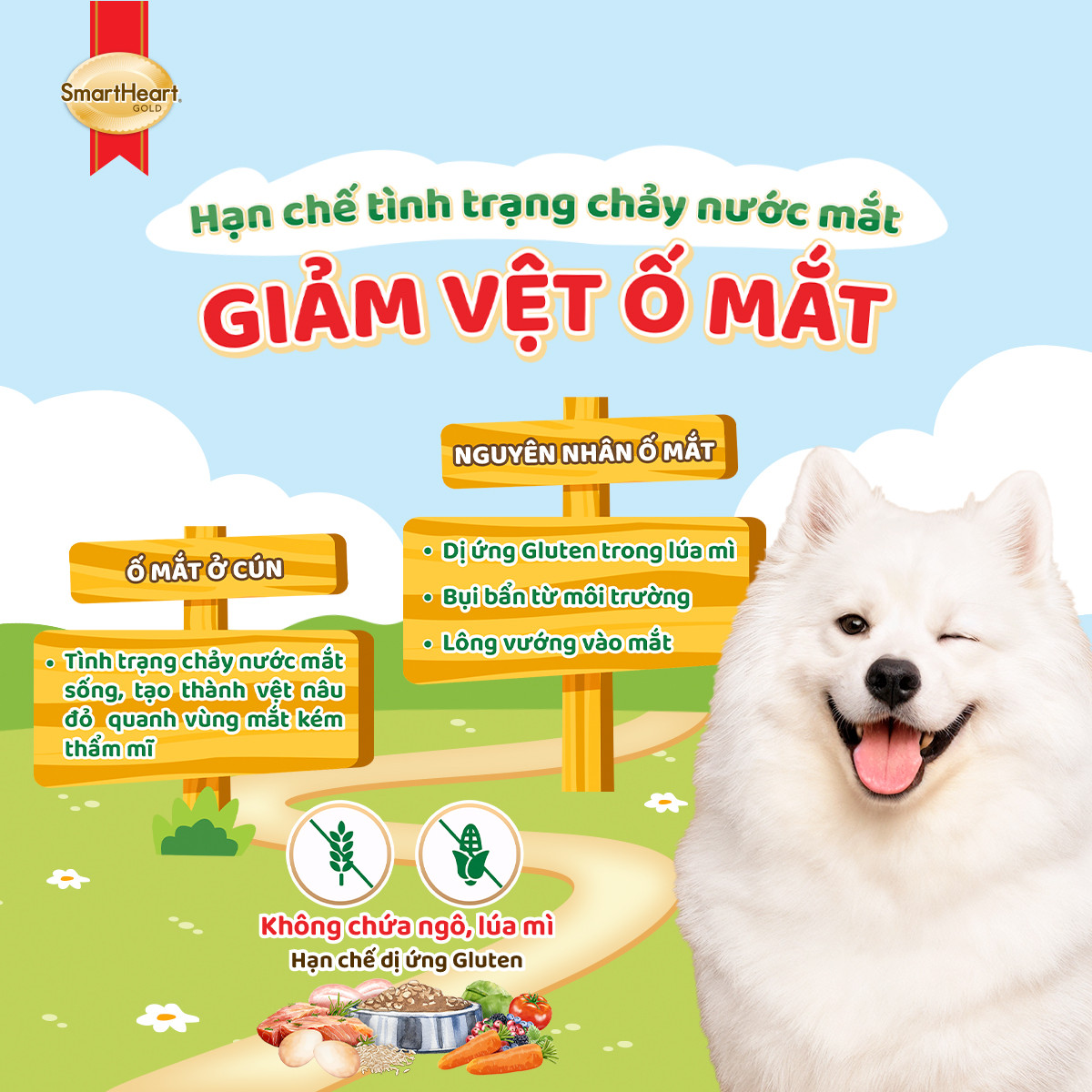 usp-giam-o-mat-2