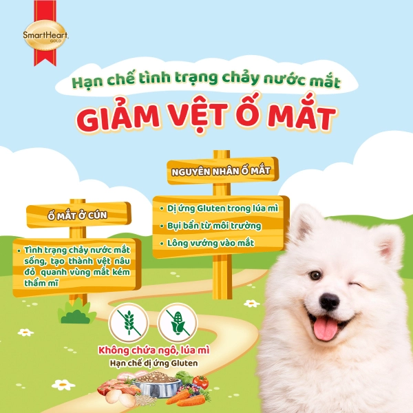 usp-giam-o-mat