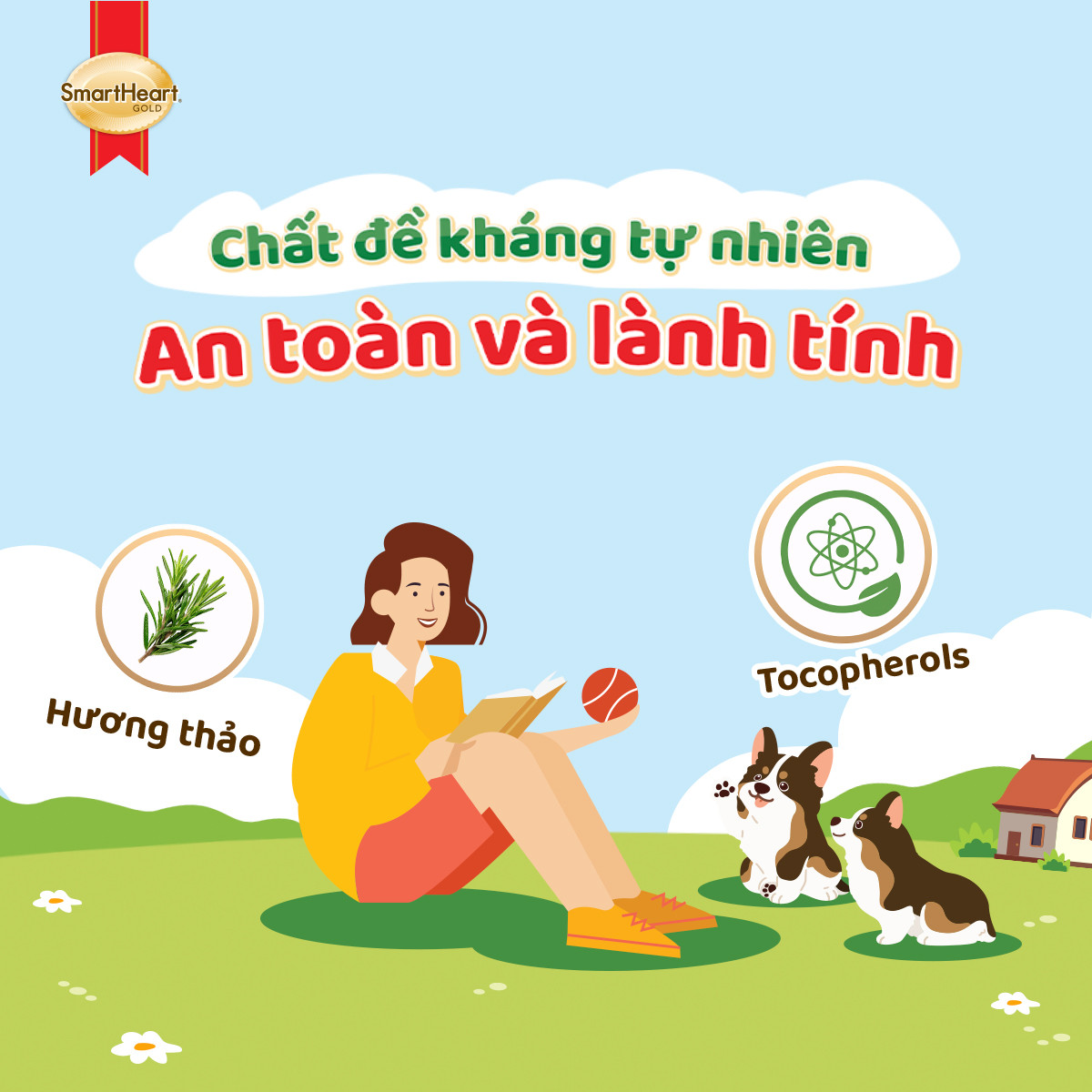 usp-thanh-phan-1