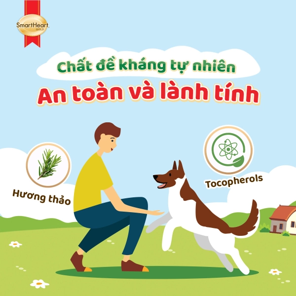 usp-thanh-phan-2