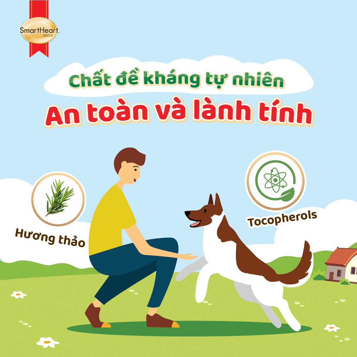 usp-thanh-phan-2