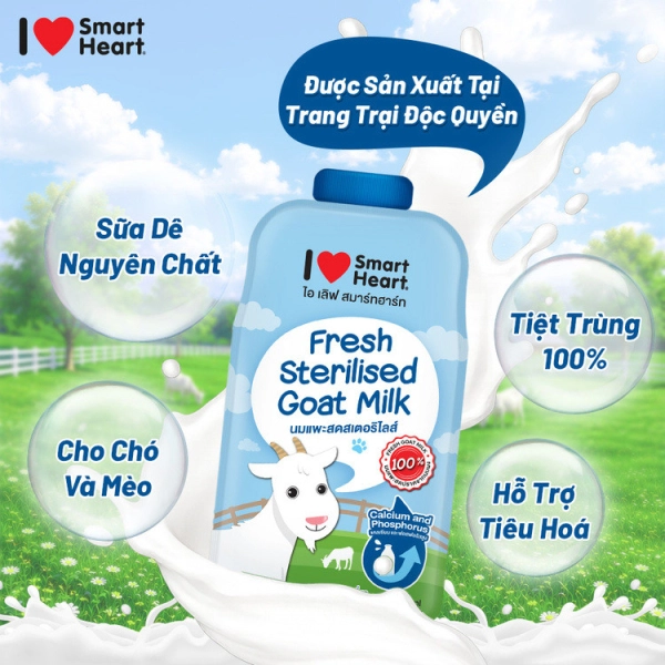 i-love-sh-anh-2-4