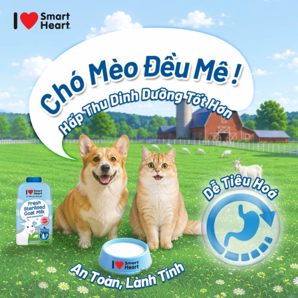 i-love-sh-anh-6-4