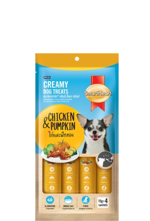 Chicken-pumpkin