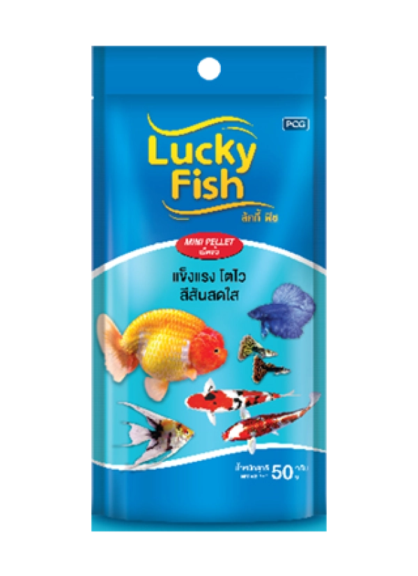 Lucky-fish