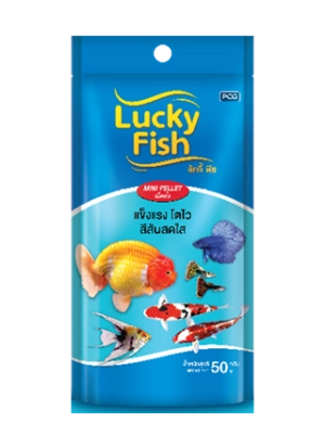 Lucky-fish