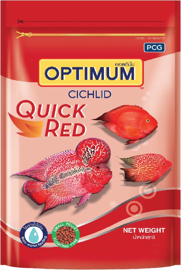 optimum-cichlid